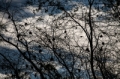 Date: Sunday, March 31, 2013 Focal length: 300.0 Shutter: 1/8000 Aperture: F/5.6 ISO: 200 
