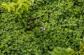 Date: Friday, March 29, 2013 Focal length: 200.0 Shutter: 1/320 Aperture: F/5.6 ISO: 160 