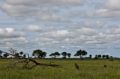 _MG_3386.jpg