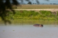 _MG_4267.jpg