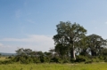 _MG_4297.jpg