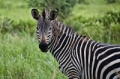 _MG_3400.jpg