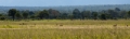_MG_3470.jpg