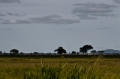 _MG_3530.jpg