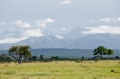 _MG_3621.jpg