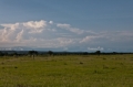 _MG_3624.jpg