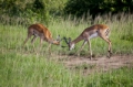 _MG_3644.jpg