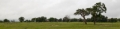 _MG_3745.jpg