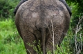 _MG_3784.jpg