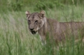 _MG_3826.jpg
