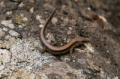 Date: Sunday, March 09, 2014 Focal length: 70.0 Shutter: 1/320 Aperture: F/5.0 ISO: 640 