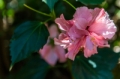 Date: Saturday, March 08, 2014 Focal length: 70.0 Shutter: 1/1600 Aperture: F/3.2 ISO: 400 