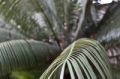_MG_4477.jpg