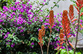 Date: Sunday, September 08, 2013 Focal length: 67.0 Shutter: 1/8 Aperture: F/22 ISO: 160 