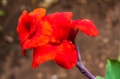 Date: Tuesday, November 05, 2013 Focal length: 90.0 Shutter: 1/40 Aperture: F/5.0 ISO: 250 