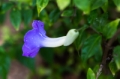 Date: Sunday, February 23, 2014 Focal length: 70.0 Shutter: 1/2000 Aperture: F/4.0 ISO: 3200 