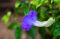 Date: Sunday, February 23, 2014 Focal length: 70.0 Shutter: 1/800 Aperture: F/5.6 ISO: 3200 