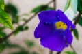 Date: Sunday, February 23, 2014 Focal length: 70.0 Shutter: 1/800 Aperture: F/5.6 ISO: 3200 