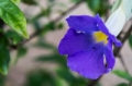 Date: Sunday, February 23, 2014 Focal length: 70.0 Shutter: 1/500 Aperture: F/5.6 ISO: 3200 