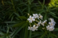 _MG_6598.jpg
