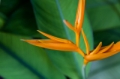 _MG_6587.jpg