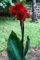 Date: Sunday, March 24, 2013 Focal length: 45.0 Shutter: 1/80 Aperture: F/6.3 ISO: 500 