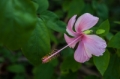 Date: Monday, March 25, 2013 Focal length: 70.0 Shutter: 1/160 Aperture: F/7.1 ISO: 250 