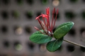 Date: Monday, March 25, 2013 Focal length: 70.0 Shutter: 1/200 Aperture: F/5.6 ISO: 200 