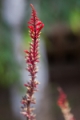 Date: Friday, July 26, 2013 Focal length: 70.0 Shutter: 1/250 Aperture: F/4.5 ISO: 320 
