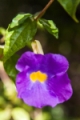 Date: Friday, July 26, 2013 Focal length: 62.0 Shutter: 1/1000 Aperture: F/4.5 ISO: 320 