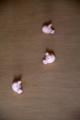 Video_MG_2503.jpg
