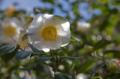 Video_MG_3491.jpg