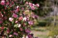 Video_MG_3556.jpg