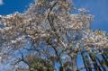 Video_MG_3559.jpg
