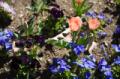 Video_MG_3569.jpg