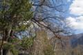 Video_MG_3570.jpg