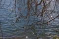Video_MG_3580.jpg