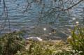 Video_MG_3584.jpg