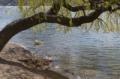 Video_MG_3590.jpg