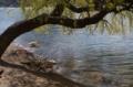 Video_MG_3595.jpg