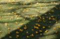 Video_MG_3625.jpg