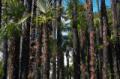 Video_MG_3626.jpg
