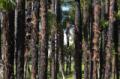 Video_MG_3629.jpg