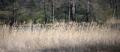 Video_MG_3830-2.jpg