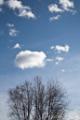 Video_MG_3831.jpg