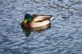 Video_MG_3847.jpg
