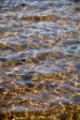 Video_MG_3874.jpg