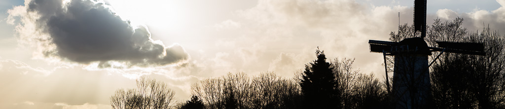 photo_banner