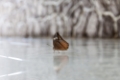 Date: jeudi, 7. juin 2012 Camera: Canon Canon EOS 5D Focal length: 105.0 Shutter: 1/3 Aperture: F/6.3 ISO: 200 