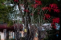 Date: vendredi, 8. juin 2012 Camera: Canon Canon EOS 5D Focal length: 135.0 Shutter: 1/40 Aperture: F/5.6 ISO: 800 
